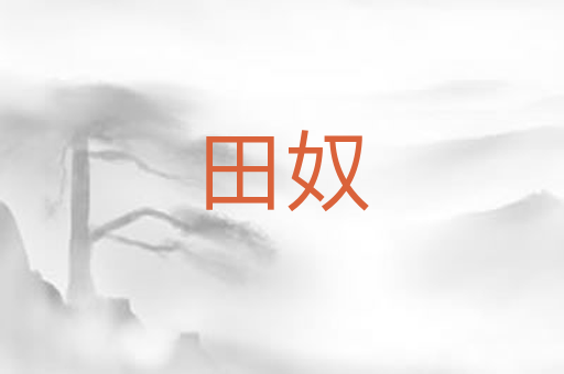 田奴