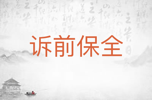 诉前保全