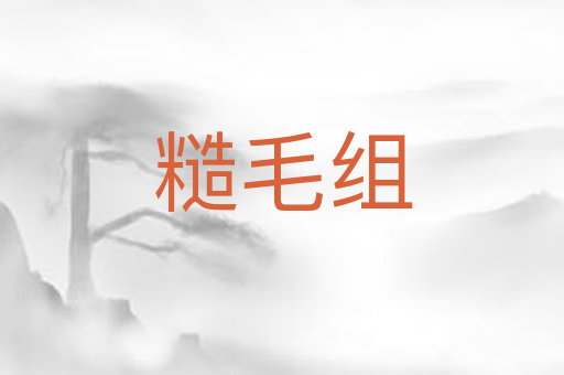 糙毛组