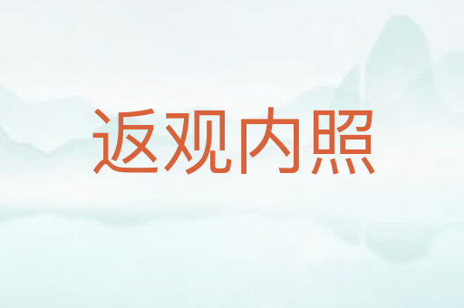 返观内照