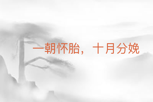 一朝怀胎,十月分娩