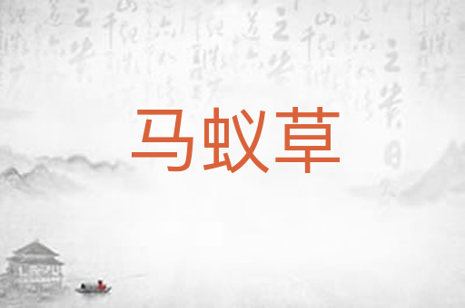 马蚁草