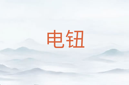 电钮