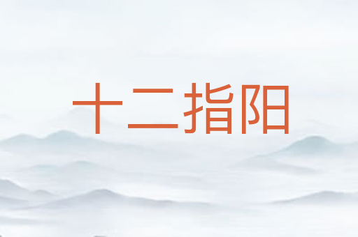 十二指阳