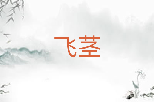 飞茎