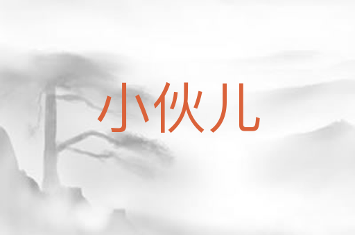 小伙儿