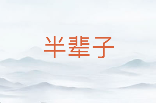 半辈子