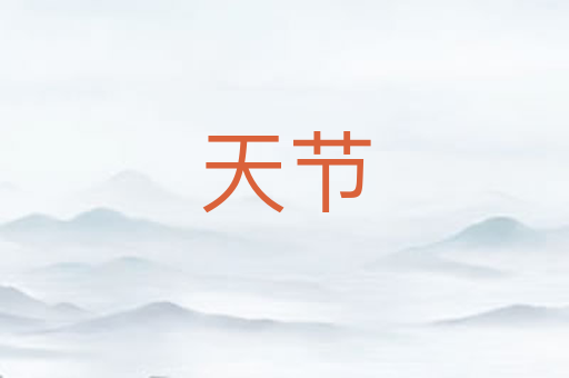 天节