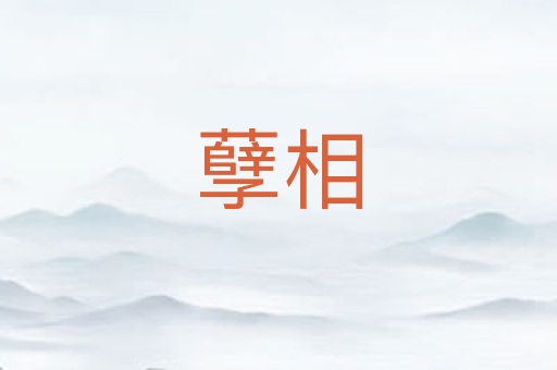 孽相