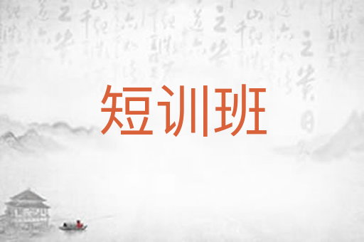 短训班
