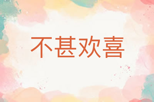 不甚欢喜