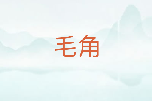 毛角