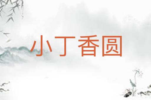小丁香圆