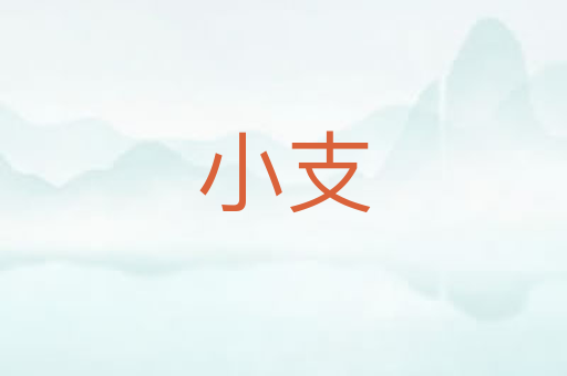 小支