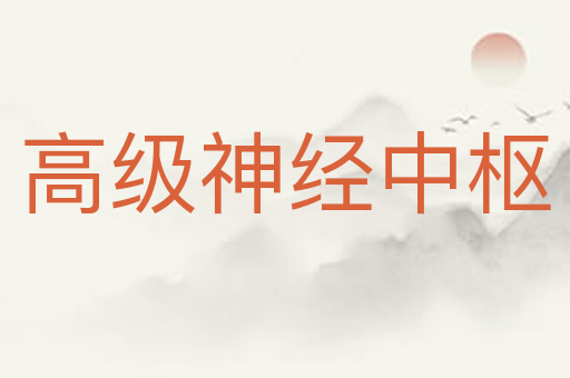 高级神经中枢