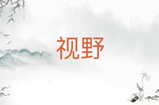 视野