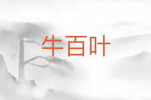 牛百叶