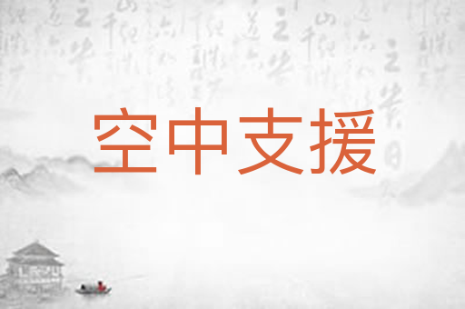 空中支援