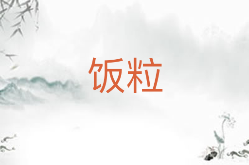 饭粒