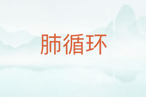 肺循环