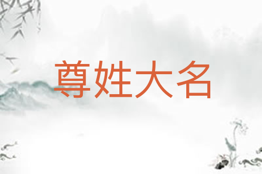 尊姓大名