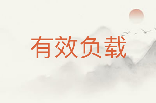 有效负载