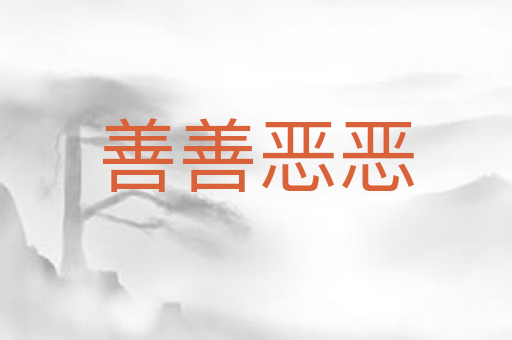善善恶恶