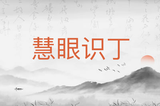 慧眼识丁