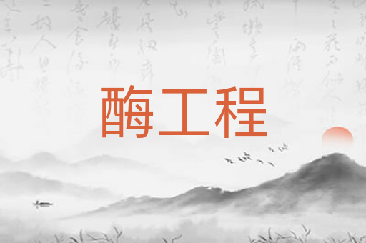 酶工程
