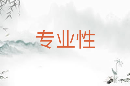 专业性