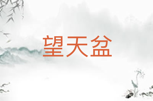 望天盆