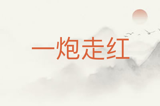 一炮走红