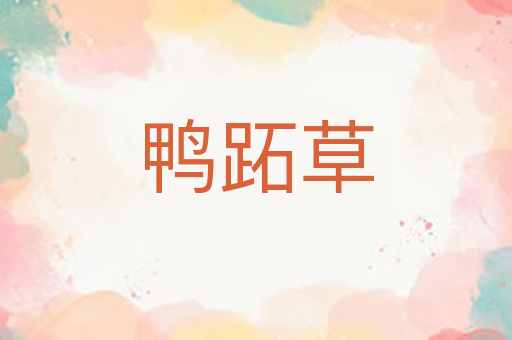 鸭跖草