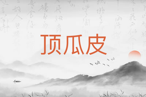 顶瓜皮