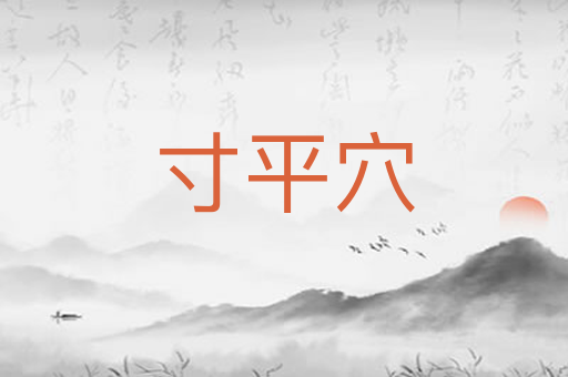 寸平穴