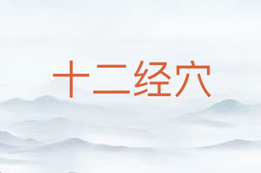 十二经穴
