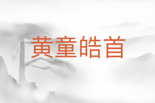 黄童皓首