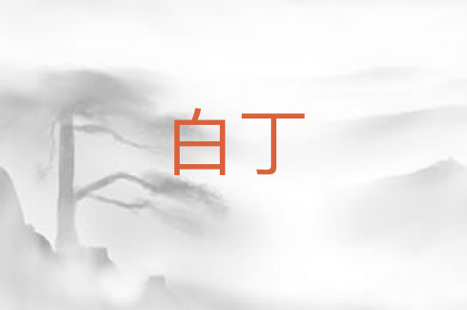 白丁