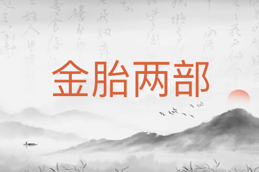 金胎两部