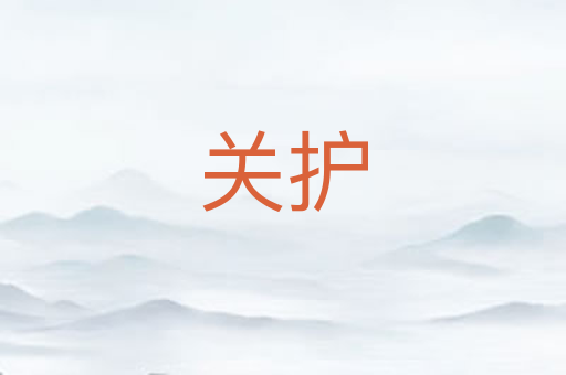 关护