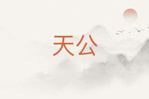天公