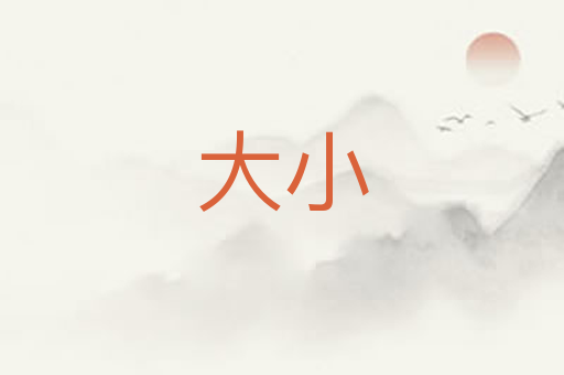 大小
