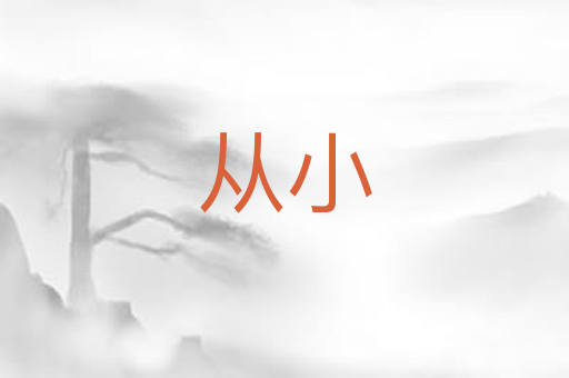 从小