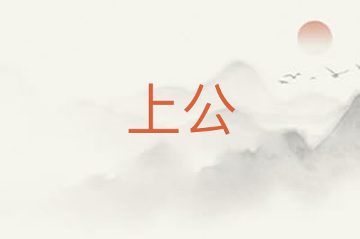 上公
