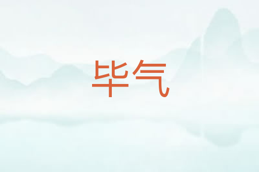 毕气