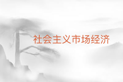 社会主义市场经济