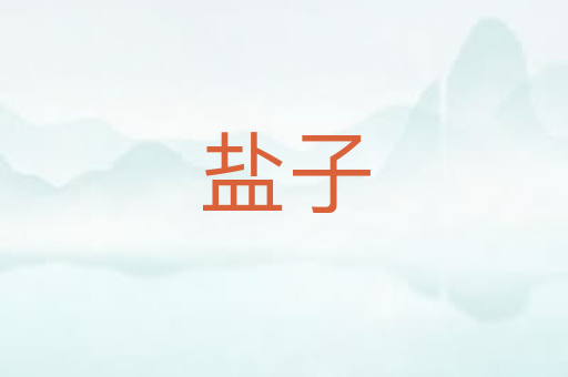 盐子
