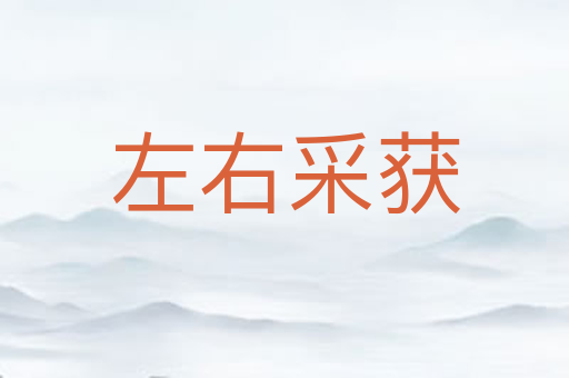 左右采获
