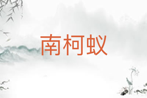 南柯蚁