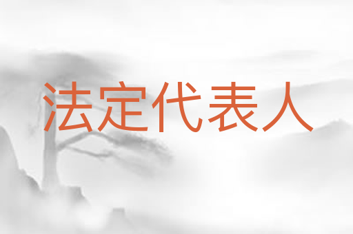 法定代表人